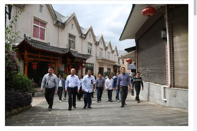 第3期老挝琅勃拉邦等6省党政干部培训班莅临高黎贡文化创意园区参观考察