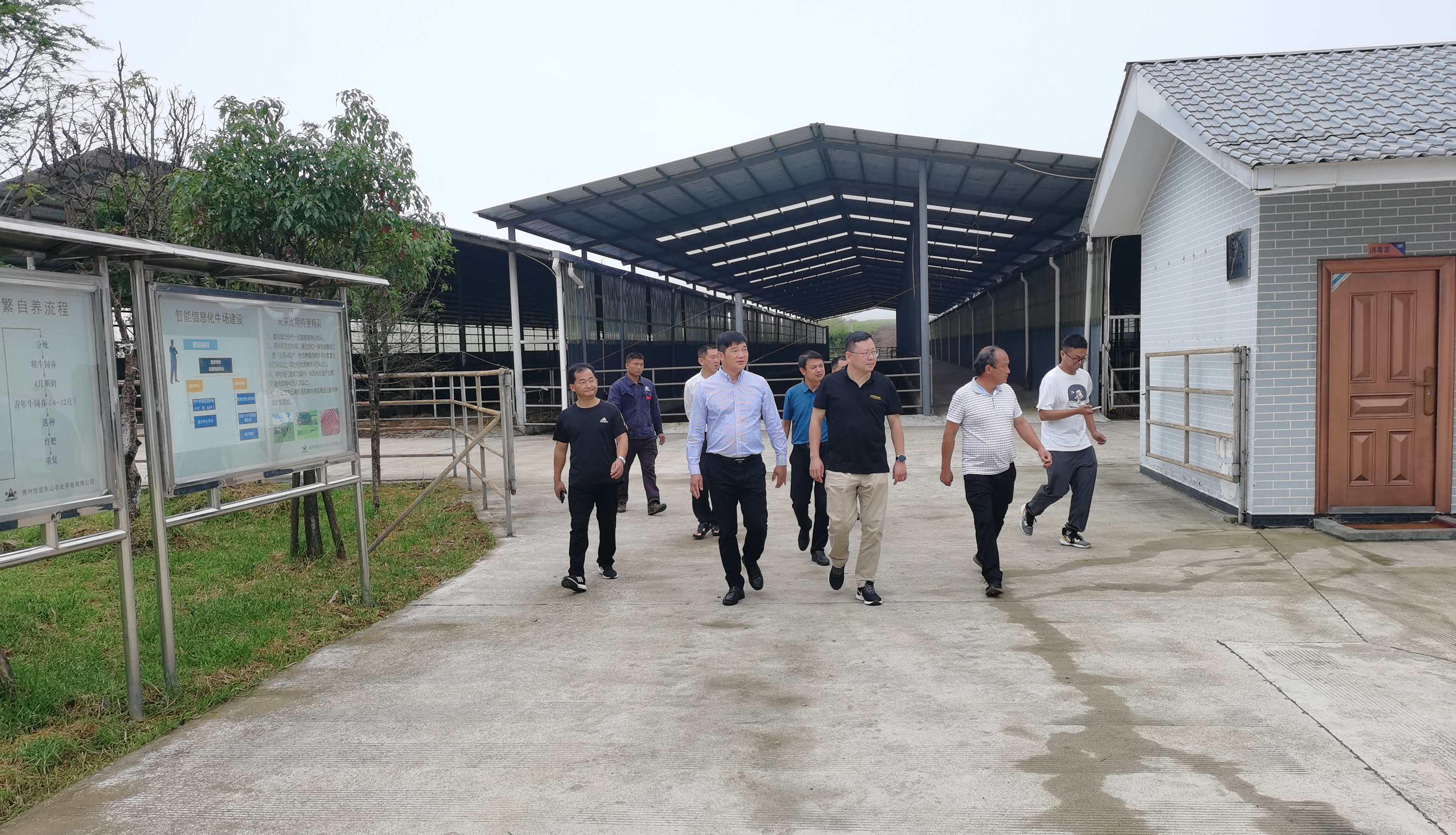 腾冲市政府李青海副市长一行莅临恒益集团东山农业公司考察