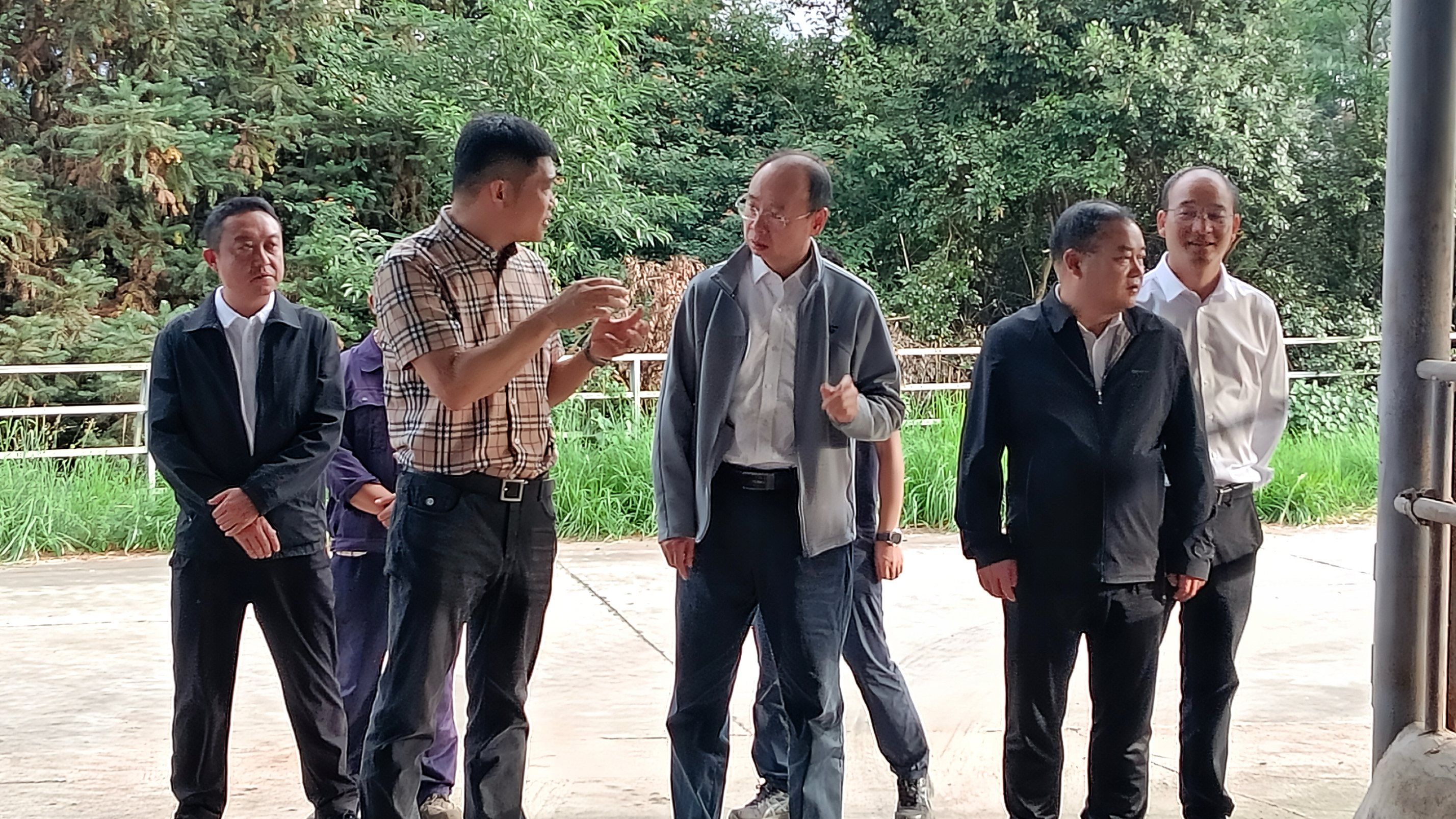 保山市市长率队调研恒益集团云岭牛产业发展情况